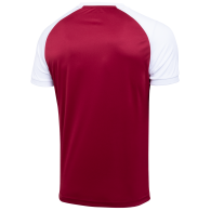 Футболка игровая CAMP Reglan Jersey JFT-1021-G1-K, гранатовый/белый, детская